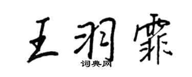 王正良王羽霏行書個性簽名怎么寫