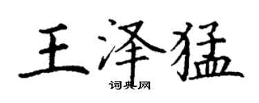 丁謙王澤猛楷書個性簽名怎么寫