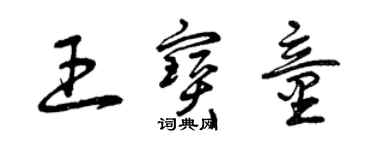 曾慶福王寶童草書個性簽名怎么寫