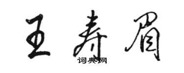 駱恆光王壽眉行書個性簽名怎么寫