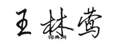 駱恆光王林鶯行書個性簽名怎么寫