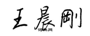 王正良王晨剛行書個性簽名怎么寫