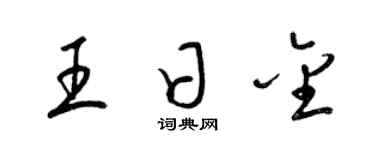 梁錦英王日金草書個性簽名怎么寫