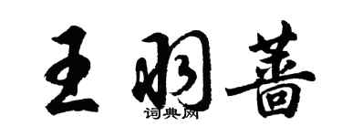 胡問遂王羽薔行書個性簽名怎么寫