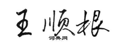 駱恆光王順根行書個性簽名怎么寫