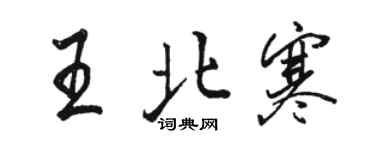 駱恆光王北寒行書個性簽名怎么寫