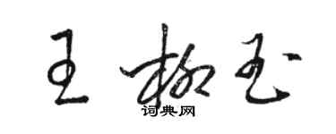 駱恆光王柳玉草書個性簽名怎么寫