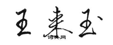 駱恆光王來玉行書個性簽名怎么寫