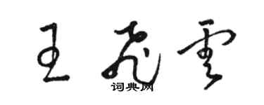 駱恆光王飛雲草書個性簽名怎么寫