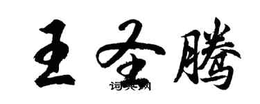 胡問遂王聖騰行書個性簽名怎么寫
