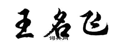 胡問遂王名飛行書個性簽名怎么寫