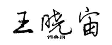 曾慶福王曉宙行書個性簽名怎么寫