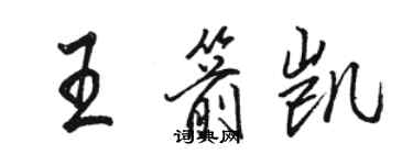 駱恆光王箭凱行書個性簽名怎么寫