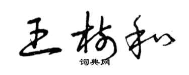 曾慶福王樹和草書個性簽名怎么寫