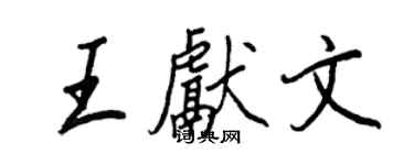 王正良王獻文行書個性簽名怎么寫