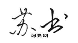 駱恆光蘇書行書個性簽名怎么寫