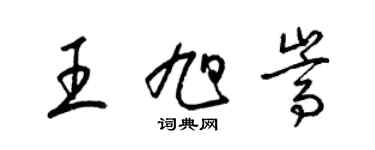 梁錦英王旭嵩草書個性簽名怎么寫