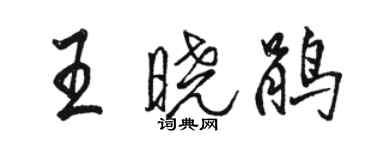 駱恆光王曉鵑行書個性簽名怎么寫