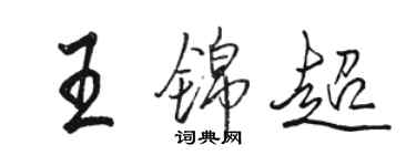 駱恆光王錦超行書個性簽名怎么寫