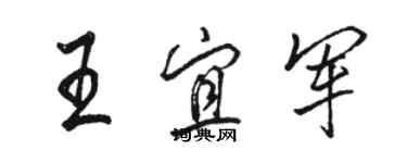 駱恆光王宜軍行書個性簽名怎么寫