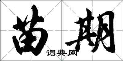 胡問遂苗期行書怎么寫