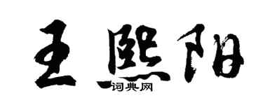 胡問遂王熙陽行書個性簽名怎么寫