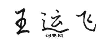 駱恆光王運飛行書個性簽名怎么寫