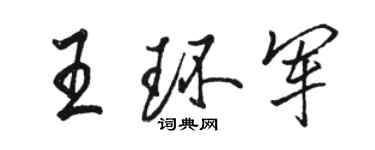 駱恆光王環軍行書個性簽名怎么寫