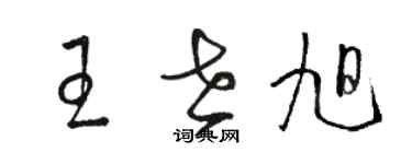 駱恆光王世旭草書個性簽名怎么寫