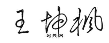 駱恆光王坤楓草書個性簽名怎么寫