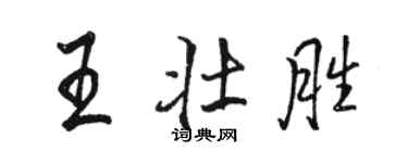 駱恆光王壯勝行書個性簽名怎么寫