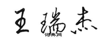 駱恆光王瑞傑行書個性簽名怎么寫