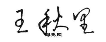 駱恆光王秋里草書個性簽名怎么寫