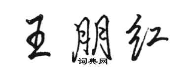 駱恆光王朋紅行書個性簽名怎么寫