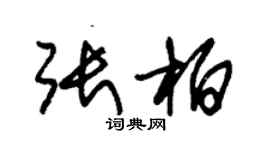 朱錫榮張柏草書個性簽名怎么寫