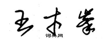 朱錫榮王才峰草書個性簽名怎么寫