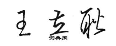 駱恆光王立耿草書個性簽名怎么寫