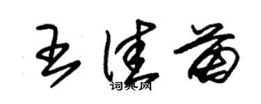 朱錫榮王佳苗草書個性簽名怎么寫
