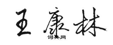駱恆光王康林行書個性簽名怎么寫