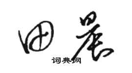 駱恆光田晨草書個性簽名怎么寫