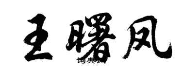 胡問遂王曙鳳行書個性簽名怎么寫