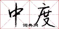 中度怎么寫好看