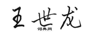 駱恆光王世龍行書個性簽名怎么寫