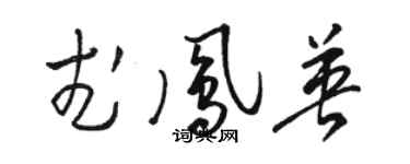 駱恆光武鳳英草書個性簽名怎么寫