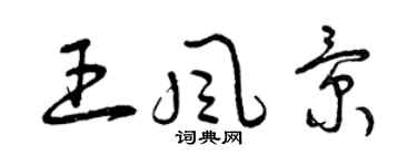 曾慶福王風景草書個性簽名怎么寫