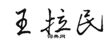 駱恆光王拉民行書個性簽名怎么寫