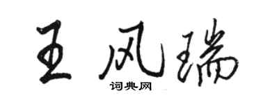駱恆光王風瑞行書個性簽名怎么寫