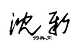 朱錫榮沈新草書個性簽名怎么寫