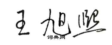 駱恆光王旭熙草書個性簽名怎么寫