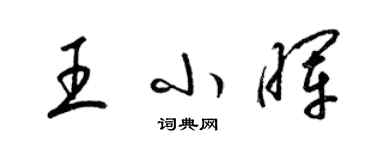 梁錦英王小暉草書個性簽名怎么寫